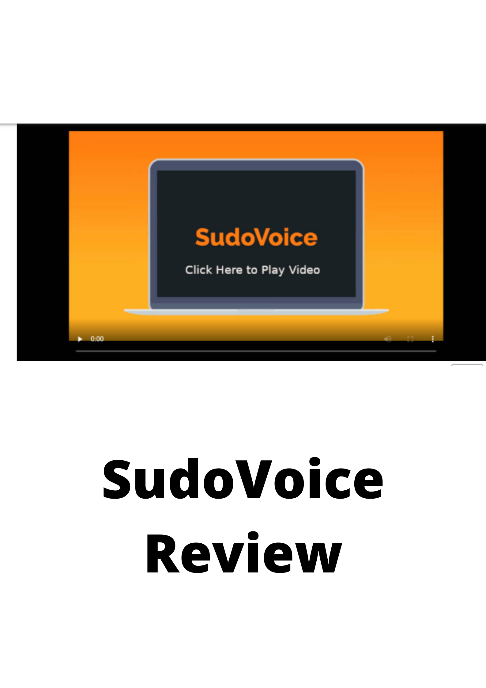 SudoVoice Review