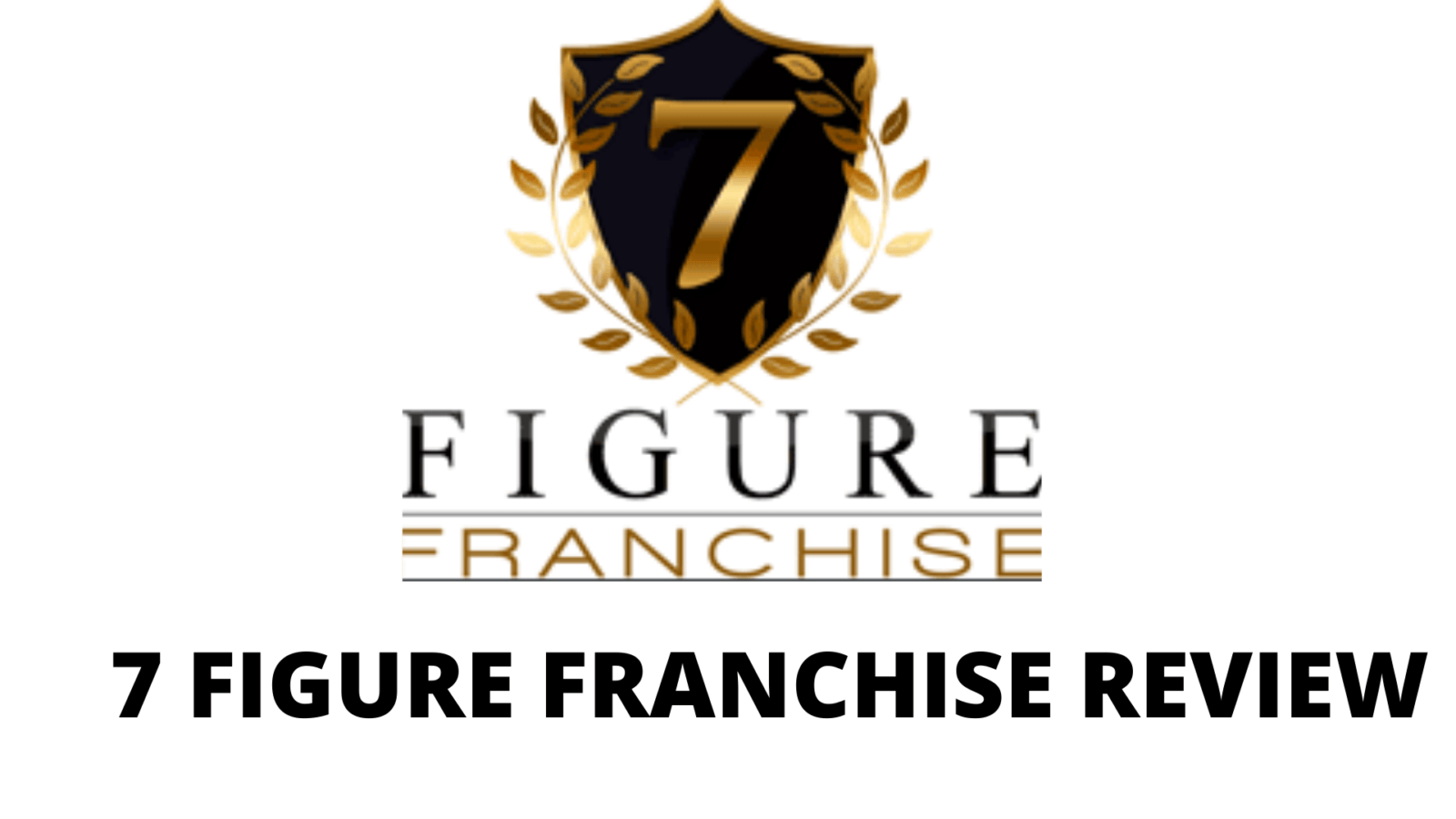 7 Figure Franchise Review
